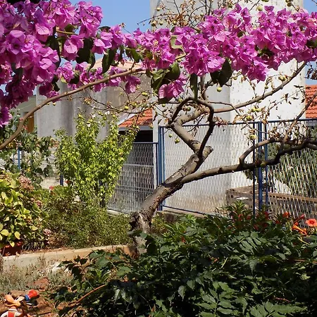 Appartement Bistra